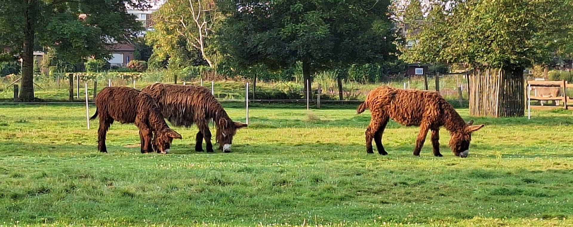 Tierpark-Weeze-Führungen