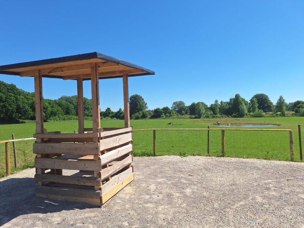 Tierpark-Weeze-Projekt-Hochsitz-mit-Aussichtsplattform